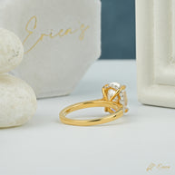 The Mirage - Oval Hidden Halo Pavé